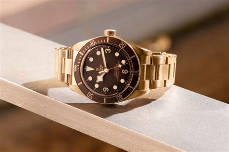 tudor bronze lug width|tudor black bay 58 price.